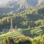 bandung puncak
