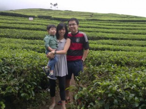 tea plantation in lembang