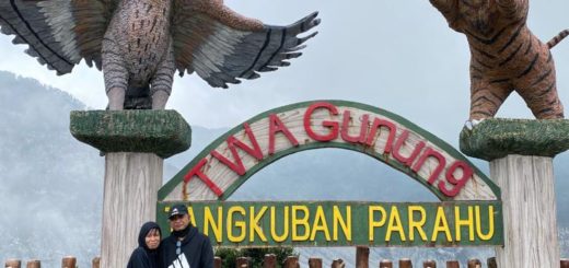 Natural Tourism Park Tangkuban Parahu Mountain