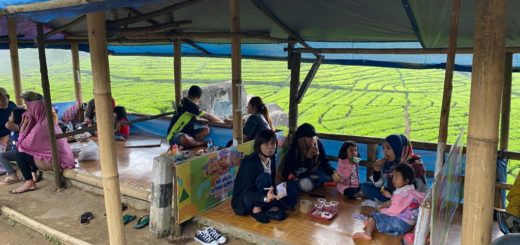 Tea plantation view lunch