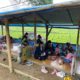 Tea plantation view lunch
