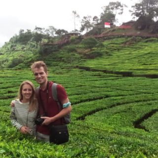 ciwidey tea plantation