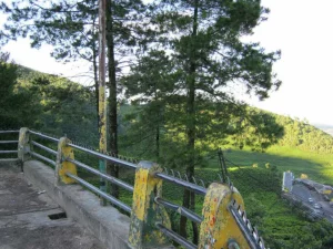 puncak car parking