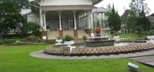 puncak cipanas